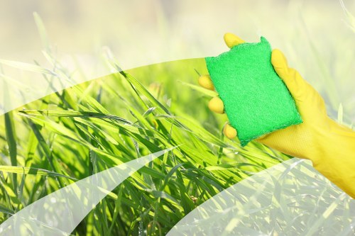 Professional carpet cleaning service for a Shepherdsbush home interior