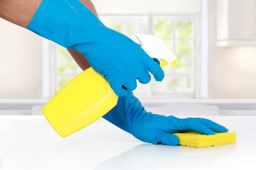 Transparent quote process for local carpet cleaning services