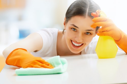 Window cleaning service for homes and flats in Shepherdsbush