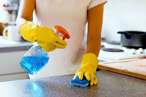 Cleaner maintaining a tidy Shepherdsbush living room during a regular cleaning visit