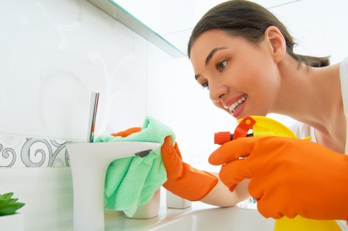 Residential window cleaning for Shepherdsbush properties