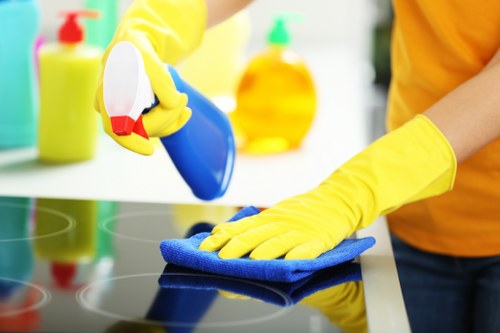 Detailed end of tenancy cleaning in a Shepherdsbush kitchen