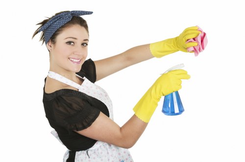 End of tenancy deep cleaning for a Shepherdsbush rental