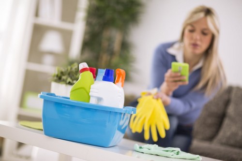 Detailed move-out cleaning in a Shepherdsbush apartment