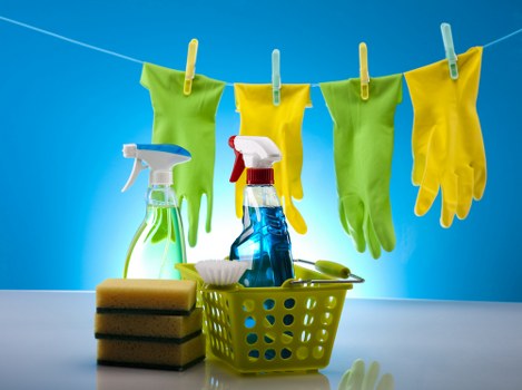 Insurance and safety measures used during carpet cleaning in Shepherdsbush