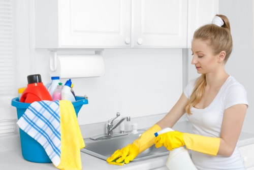 Regular domestic cleaning service for Shepherdsbush homes and nearby areas